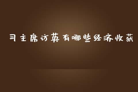 习主席访英有哪些经济收获_https://m.fsyjjx.cn_期货保证金计算_第1张