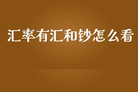 汇率有汇和钞怎么看_https://m.fsyjjx.cn_股指期货保证金_第1张