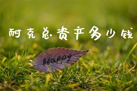 耐克总资产多少钱_https://m.fsyjjx.cn_期货保证金计算_第1张