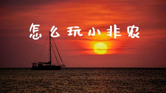 怎么玩小非农_https://m.fsyjjx.cn_股指期货保证金_第1张