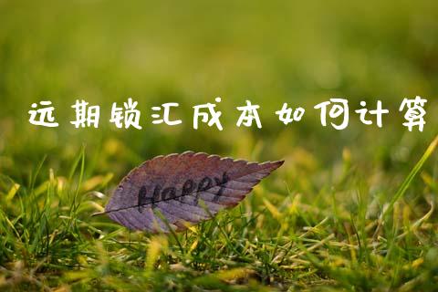 远期锁汇成本如何计算_https://m.fsyjjx.cn_期货保证金计算_第1张