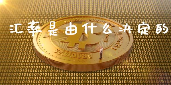 汇率是由什么决定的_https://m.fsyjjx.cn_期货保证金_第1张