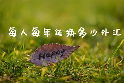 每人每年能换多少外汇_https://m.fsyjjx.cn_期货保证金_第1张