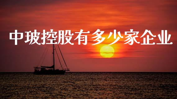中玻控股有多少家企业_https://m.fsyjjx.cn_股指期货保证金_第1张