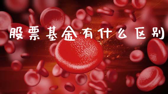 股票基金有什么区别_https://m.fsyjjx.cn_期货如何开户_第1张
