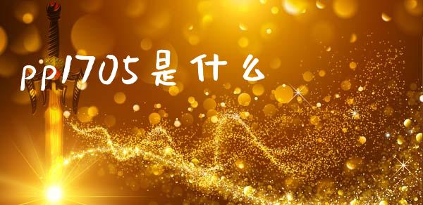 pp1705是什么_https://m.fsyjjx.cn_期货保证金_第1张