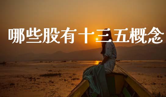 哪些股有十三五概念_https://m.fsyjjx.cn_期货如何开户_第1张