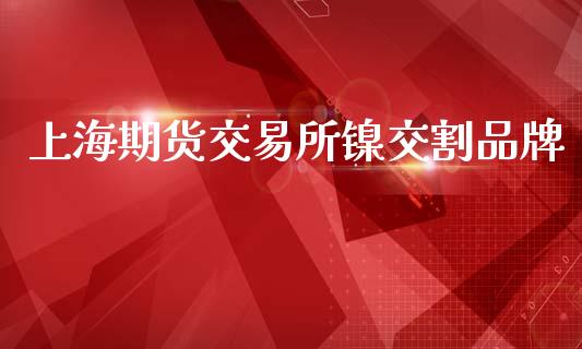上海期货交易所镍交割品牌_https://m.fsyjjx.cn_股指期货保证金_第1张