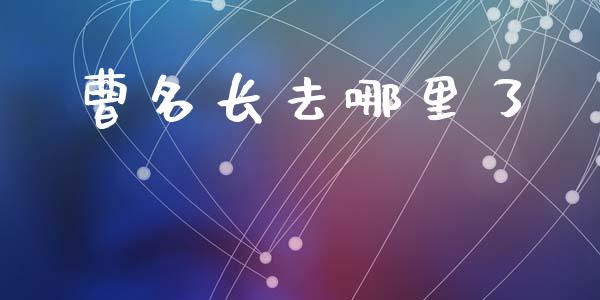 曹名长去哪里了_https://m.fsyjjx.cn_期货保证金_第1张
