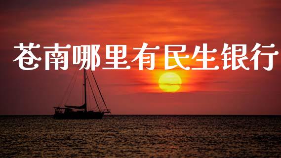 苍南哪里有民生银行_https://m.fsyjjx.cn_期货保证金_第1张
