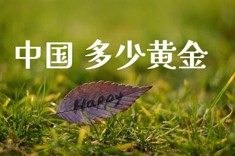 中国 多少黄金_https://m.fsyjjx.cn_股指期货保证金_第1张