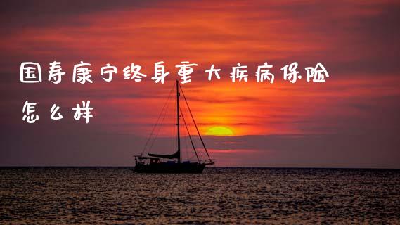 国寿康宁终身重大疾病保险怎么样_https://m.fsyjjx.cn_期货如何开户_第1张