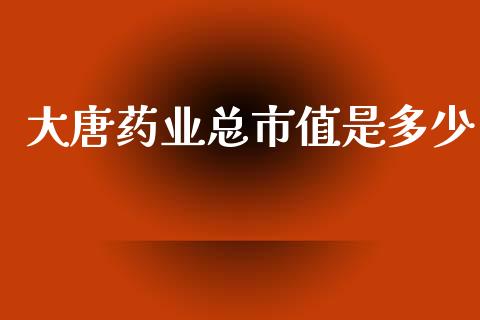 大唐药业总市值是多少_https://m.fsyjjx.cn_期货保证金_第1张