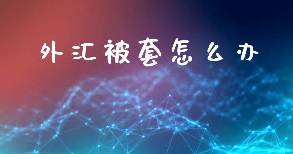 外汇被套怎么办_https://m.fsyjjx.cn_股指期货保证金_第1张