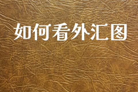如何看外汇图_https://m.fsyjjx.cn_期货保证金_第1张