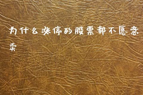 为什么涨停的股票都不愿意卖_https://m.fsyjjx.cn_股指期货保证金_第1张