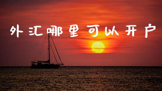 外汇哪里可以开户_https://m.fsyjjx.cn_期货如何开户_第1张