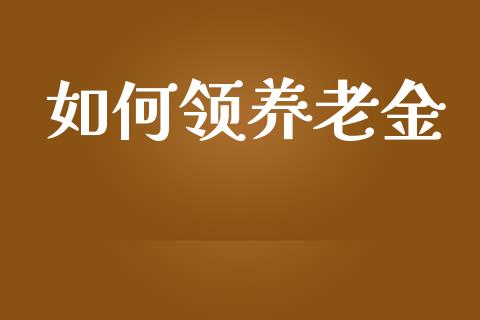 如何领养老金_https://m.fsyjjx.cn_股指期货保证金_第1张