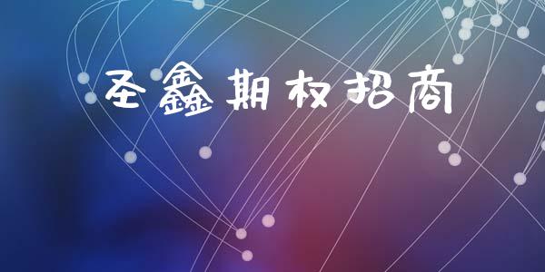 圣鑫期权招商_https://m.fsyjjx.cn_期货如何开户_第1张