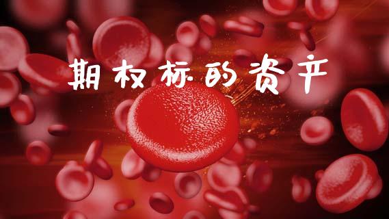 期权标的资产_https://m.fsyjjx.cn_期货保证金计算_第1张