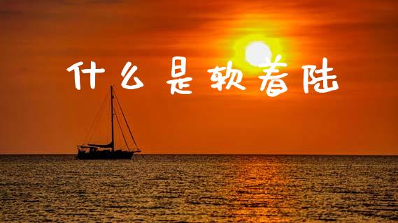 什么是软着陆_https://m.fsyjjx.cn_期货保证金_第1张