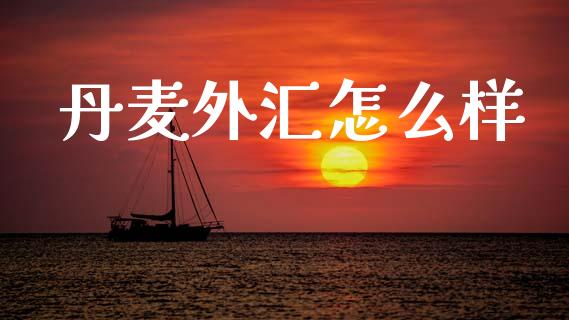 丹麦外汇怎么样_https://m.fsyjjx.cn_期货保证金_第1张