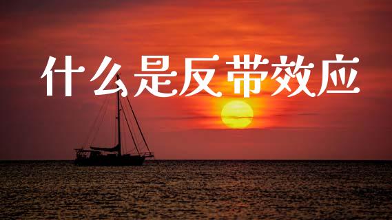 什么是反带效应_https://m.fsyjjx.cn_期货保证金_第1张