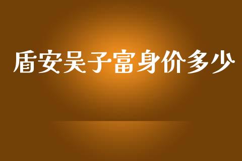 盾安吴子富身价多少_https://m.fsyjjx.cn_期货保证金_第1张