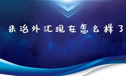 米治外汇现在怎么样了_https://m.fsyjjx.cn_股指期货保证金_第1张