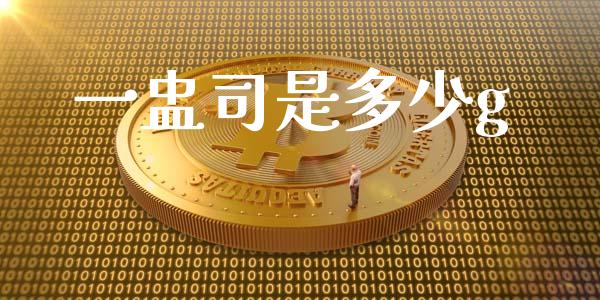 一盅司是多少g_https://m.fsyjjx.cn_期货保证金_第1张