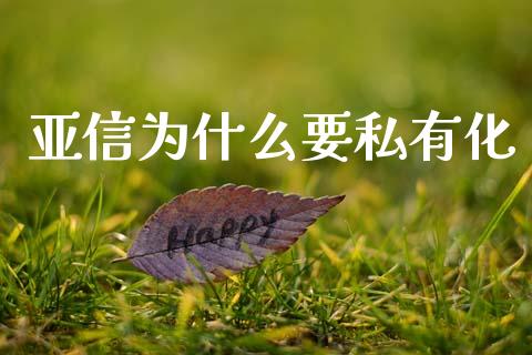 亚信为什么要私有化_https://m.fsyjjx.cn_期货如何开户_第1张