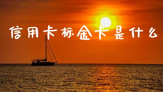 信用卡标金卡是什么_https://m.fsyjjx.cn_期货保证金计算_第1张