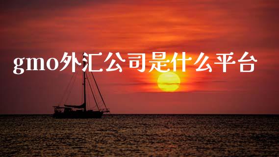 gmo外汇公司是什么平台_https://m.fsyjjx.cn_期货保证金计算_第1张