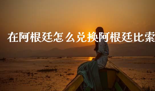 在阿根廷怎么兑换阿根廷比索_https://m.fsyjjx.cn_股指期货保证金_第1张