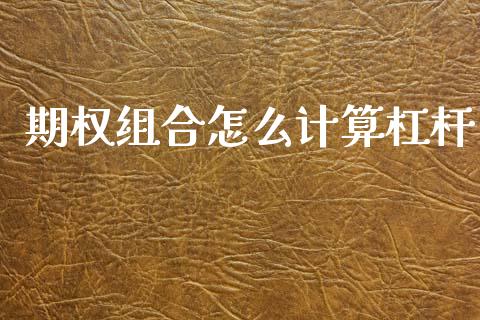 期权组合怎么计算杠杆_https://m.fsyjjx.cn_期货保证金计算_第1张
