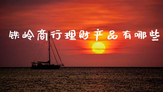 铁岭商行理财产品有哪些_https://m.fsyjjx.cn_期货保证金_第1张