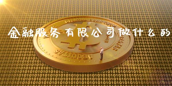 金融服务有限公司做什么的_https://m.fsyjjx.cn_期货保证金计算_第1张
