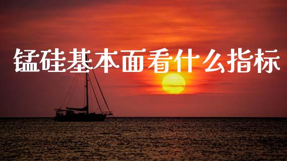 锰硅基本面看什么指标_https://m.fsyjjx.cn_期货保证金_第1张