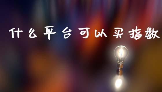 什么平台可以买指数_https://m.fsyjjx.cn_期货保证金_第1张