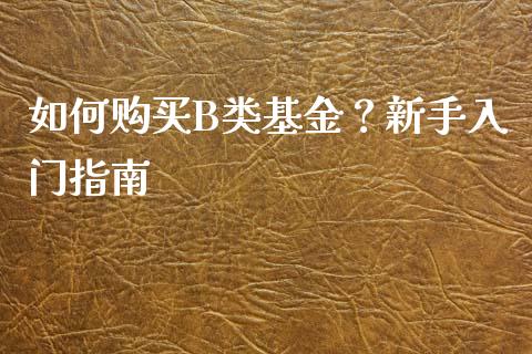 如何购买B类基金？新手入门指南_https://m.fsyjjx.cn_股指期货保证金_第1张