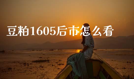 豆粕1605后市怎么看_https://m.fsyjjx.cn_期货保证金计算_第1张