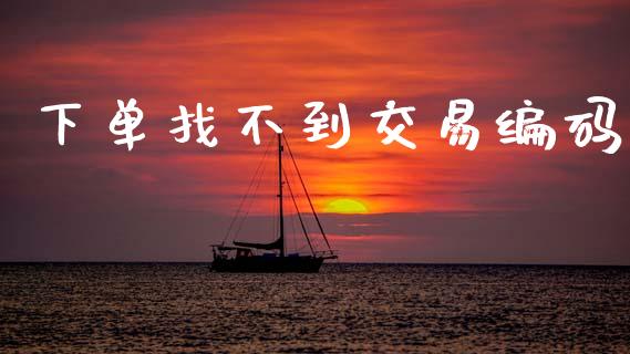 下单找不到交易编码_https://m.fsyjjx.cn_期货保证金计算_第1张
