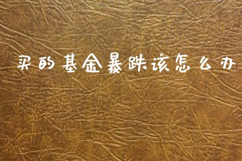 买的基金暴跌该怎么办_https://m.fsyjjx.cn_期货保证金_第1张