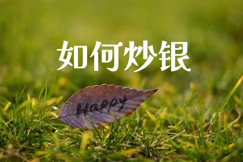 如何炒银_https://m.fsyjjx.cn_期货如何开户_第1张