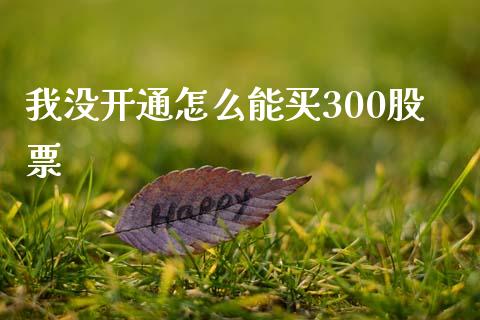 我没开通怎么能买300股票_https://m.fsyjjx.cn_期货保证金_第1张