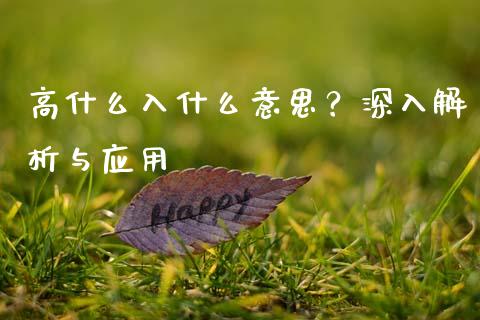 高什么入什么意思？深入解析与应用_https://m.fsyjjx.cn_期货如何开户_第1张