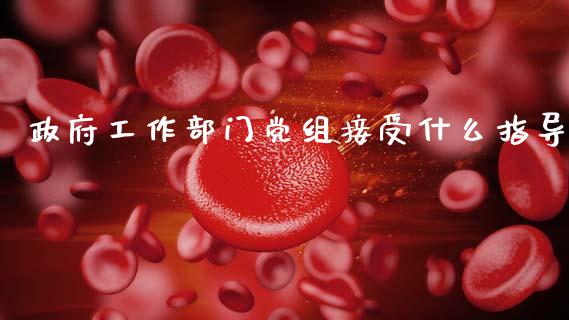 政府工作部门党组接受什么指导_https://m.fsyjjx.cn_期货保证金计算_第1张