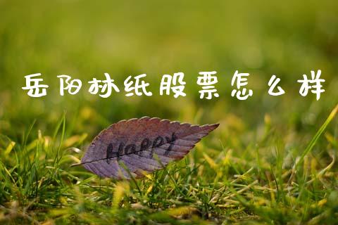 岳阳林纸股票怎么样_https://m.fsyjjx.cn_期货保证金计算_第1张