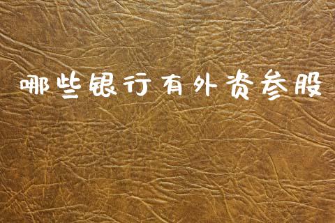 哪些银行有外资参股_https://m.fsyjjx.cn_期货如何开户_第1张