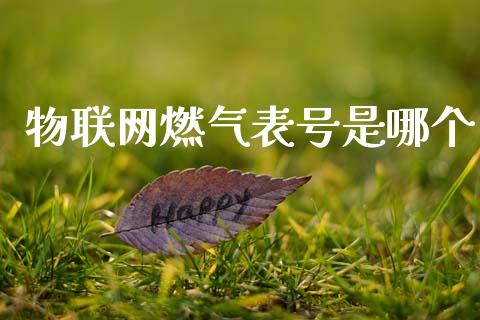 物联网燃气表号是哪个_https://m.fsyjjx.cn_期货如何开户_第1张